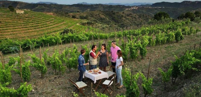 El enoturismo como estrategia de promoción y venta de vinos en Bodega.